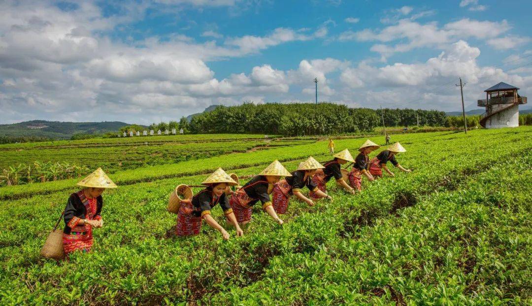 中秋国庆去哪玩<strong></p>
<p>来澳洲去哪</strong>？拒绝人山人海 来白沙我“氧”你